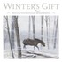 Winter's Gift by Jane Monroe Donovan (2004, Reinforced Hardcover)