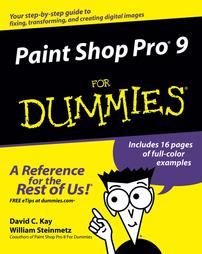 Paint Shop Pro 9 For Dummies by David C. Kay, William Steinmetz (2005, Paperback)