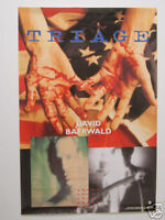 David Baerwald Triage