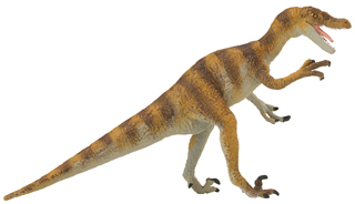 carnegie velociraptor