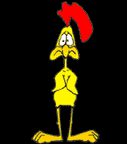 wartsydnew