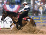 neverland62
