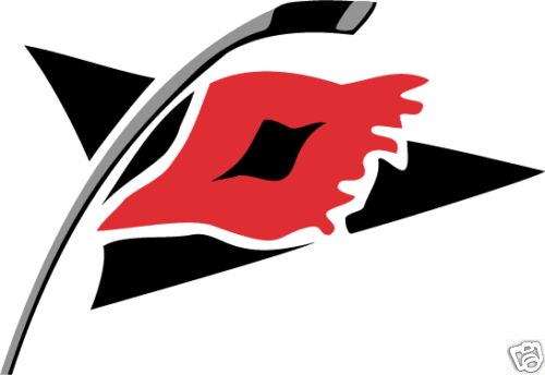 Carolina Hurricanes NHL Hockey Car Bumper Sticker 6X3