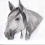 aramancam