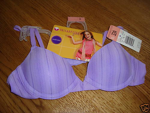 Vassarette Girl bra NWT purple underwire bra 30A  