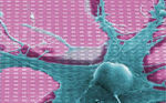 digitalemotion